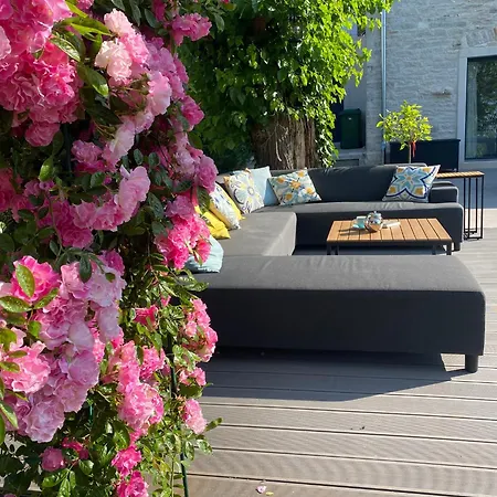 La Vinella With Heated Pool Villa Buje