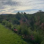La Vinella With Heated Pool Villa Buje