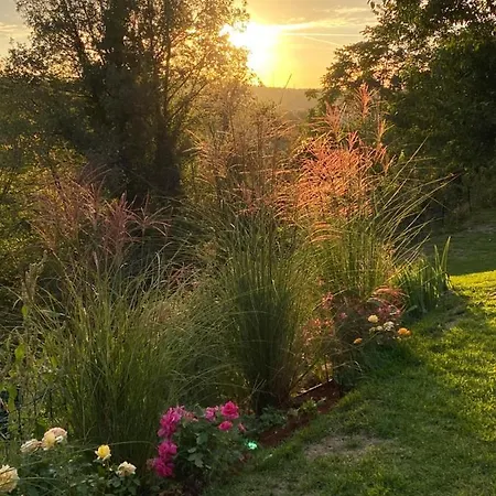 La Vinella With Heated Pool * Buje